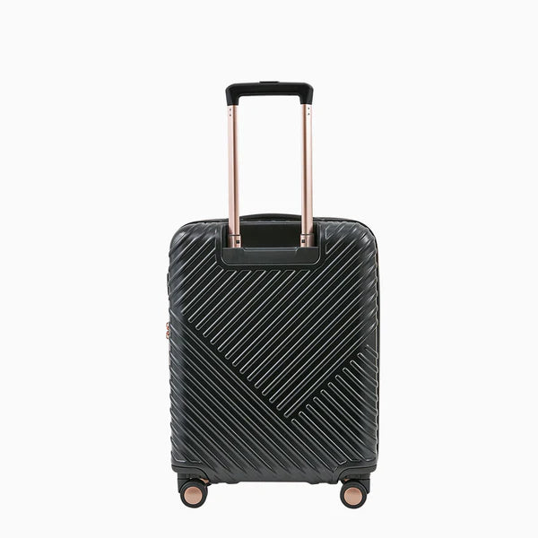 Flyon Baggage11