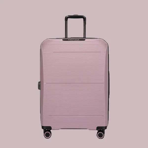 Flyon Baggage1