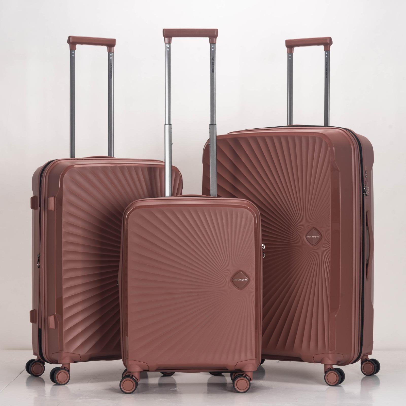 Flyon Baggage2