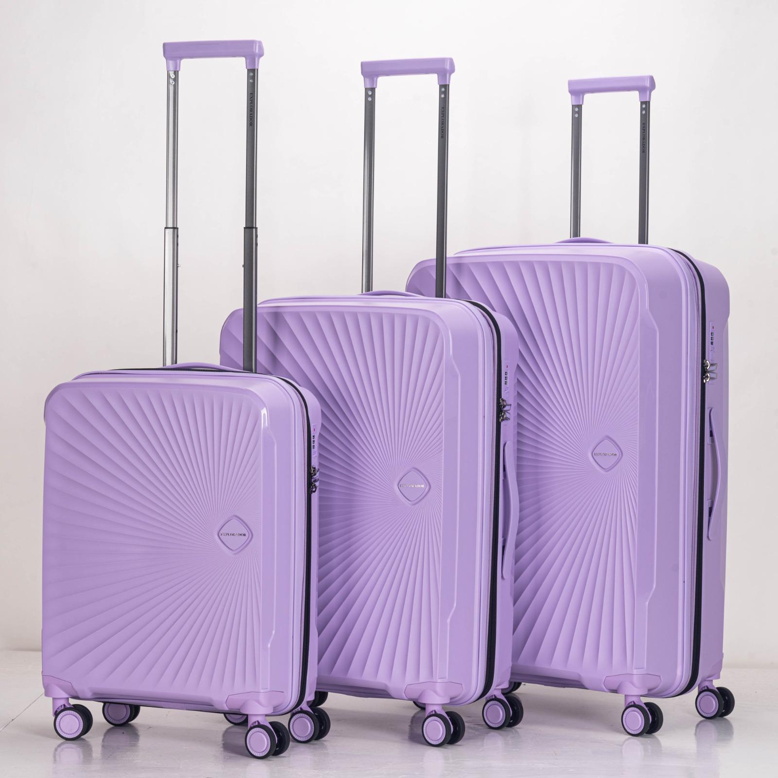 Flyon Baggage3