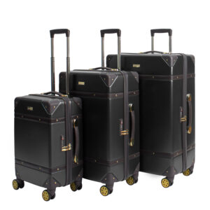 Flyon Baggage17