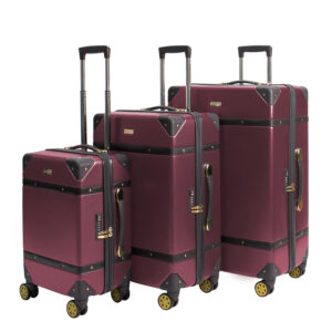 Flyon Baggage14