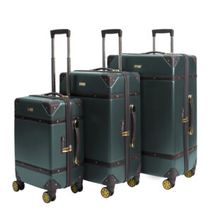 Flyon Baggage11