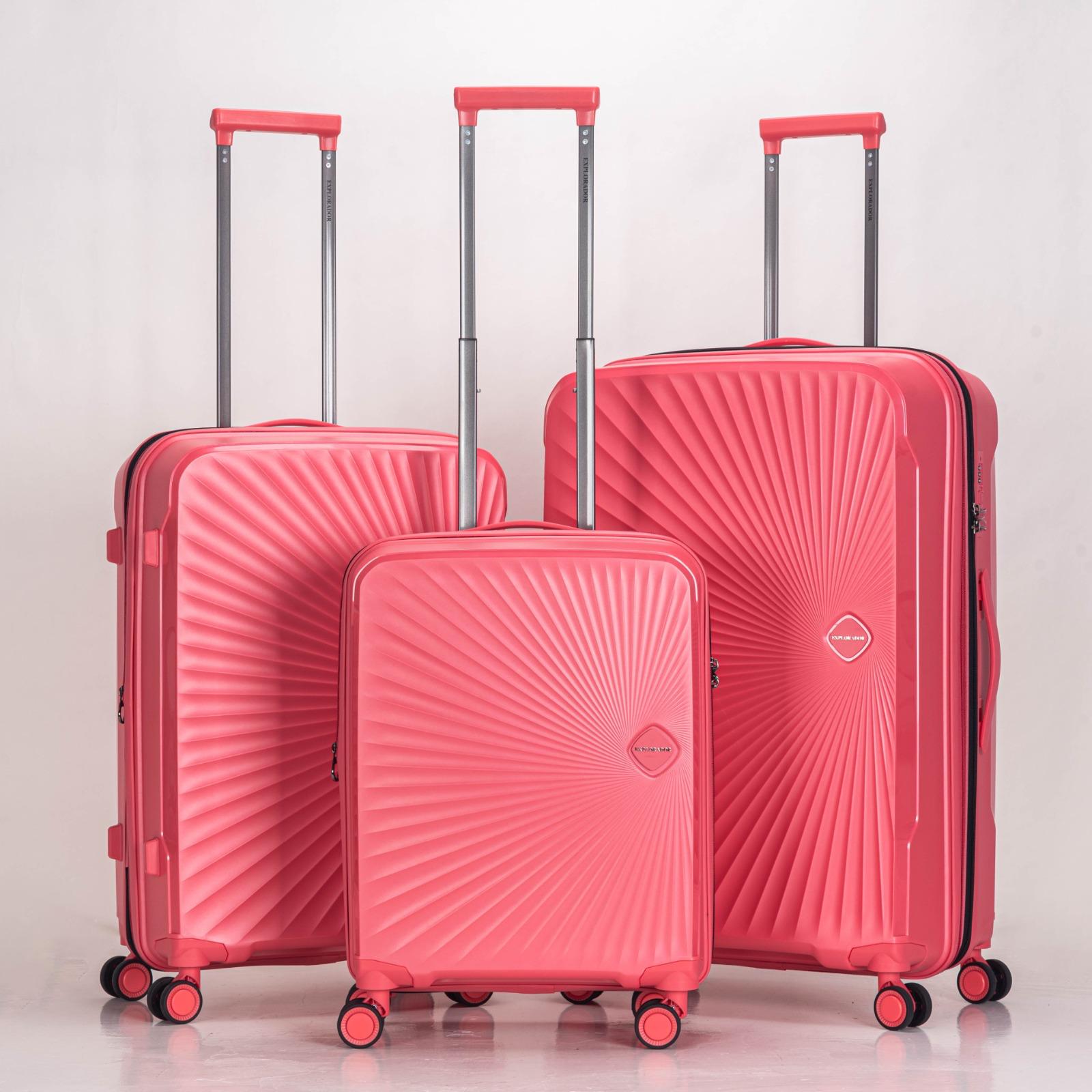 Flyon Baggage4