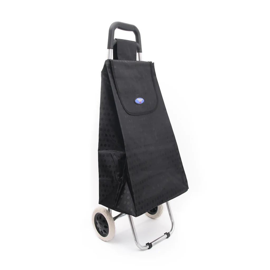 Flyon Baggage11